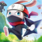 Ninja Rabbit