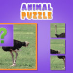 Animal Puzzle